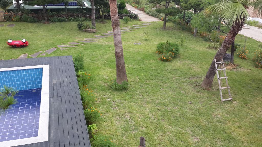 Jeju Olleh House Villa Eksteriør billede